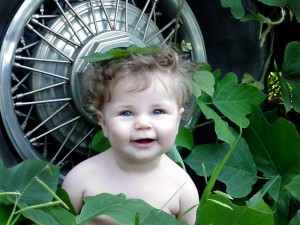 file0008865511